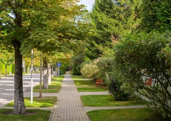 Поселок Резиденции Бенилюкс